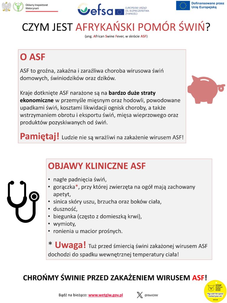 ulotka afrykański pomór świń