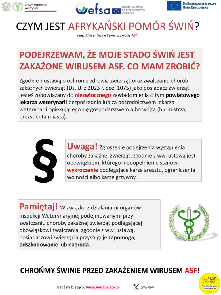 ulotka afrykański pomór świń